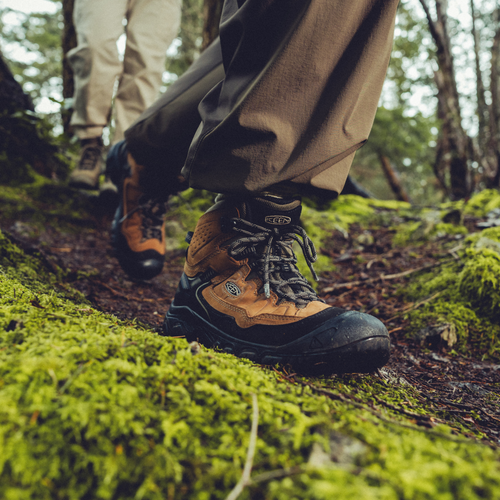 Men's KEEN Targhee IV Mid Waterproof in Bison/Black
