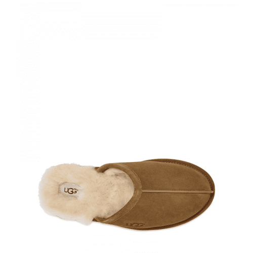 Men’s UGG Scuff Slipper – Chestnut