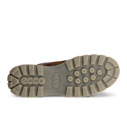 Men's ECCO Track 25 Mid GTX - Bison