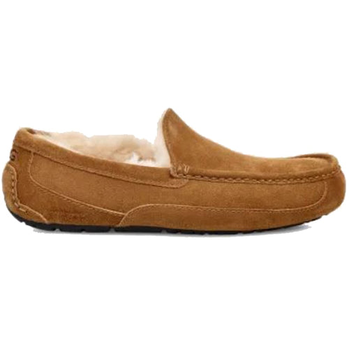 Men’s UGG Ascot Slipper – Chestnut