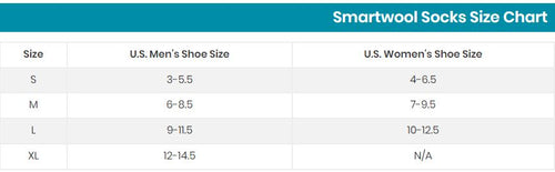 Smartwool Everyday Low Cut No Show Socks - Light Grey