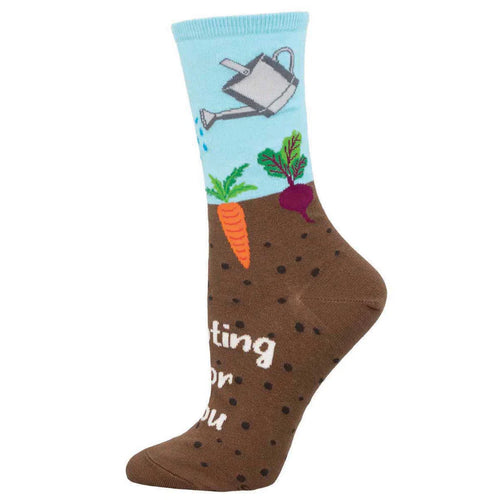 Women's Socksmith Rooting For You Cotton Crew Socks – Blue