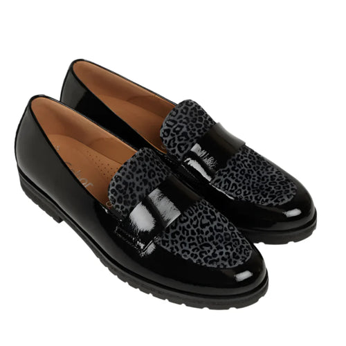 Women's Gabor 72.042 - Schwarz/Anthrazit