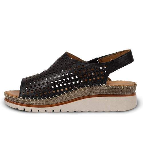 Women's Takahē Callan - Black