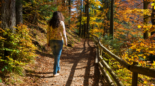 Get in Motion! How to Start Walking in Six Easy Steps