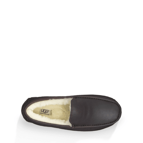 Men’s UGG Ascot Slipper – China Tea