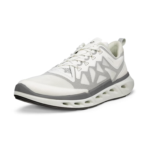 Men's ECCO Biom 720 - White/White/Black