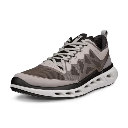 Men's ECCO Biom 720 Breathru - Falcon