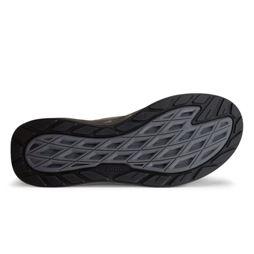 Men's ECCO Biom 720 Gore-Tex - Dark Clay
