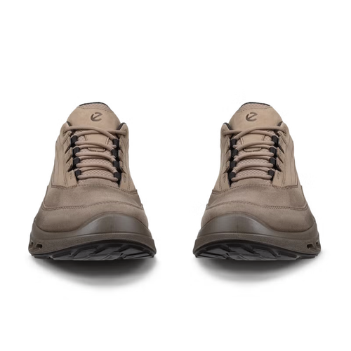 Men's ECCO Biom 720 Gore-Tex - Dark Clay