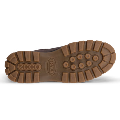 Men's ECCO Track 25 Low GTX - Coffee/Black