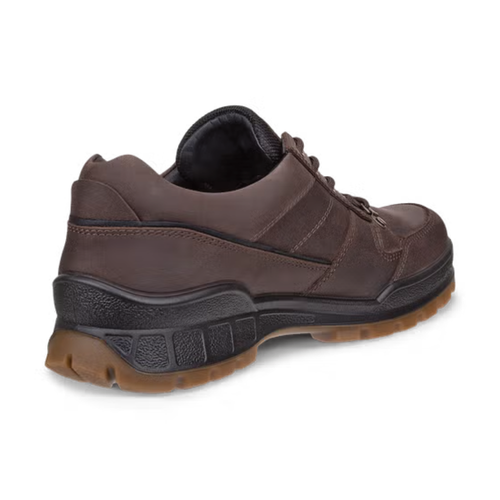Men's ECCO Track 25 Low GTX - Coffee/Black