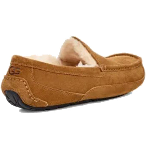 Men’s UGG Ascot Slipper – Chestnut