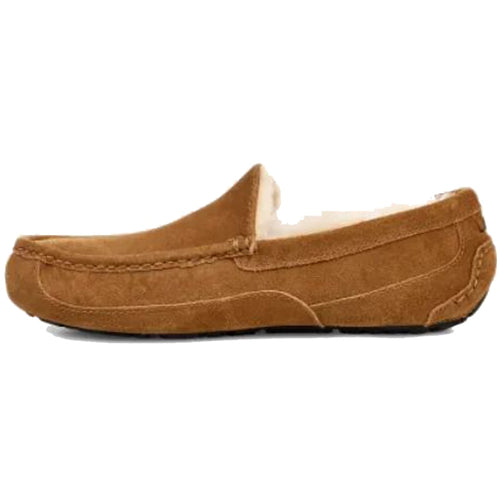 Men’s UGG Ascot Slipper – Chestnut