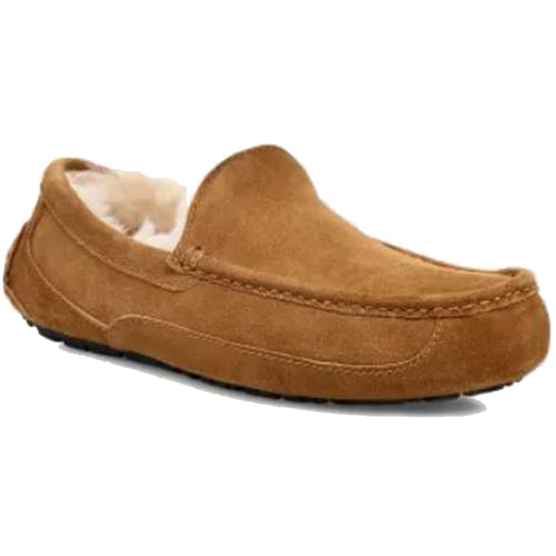 Men’s UGG Ascot Slipper – Chestnut