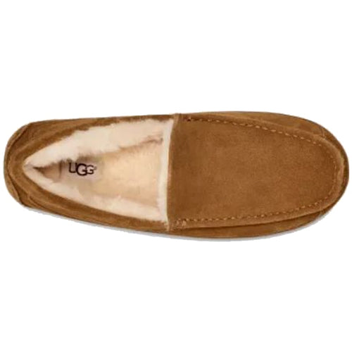 Men’s UGG Ascot Slipper – Chestnut