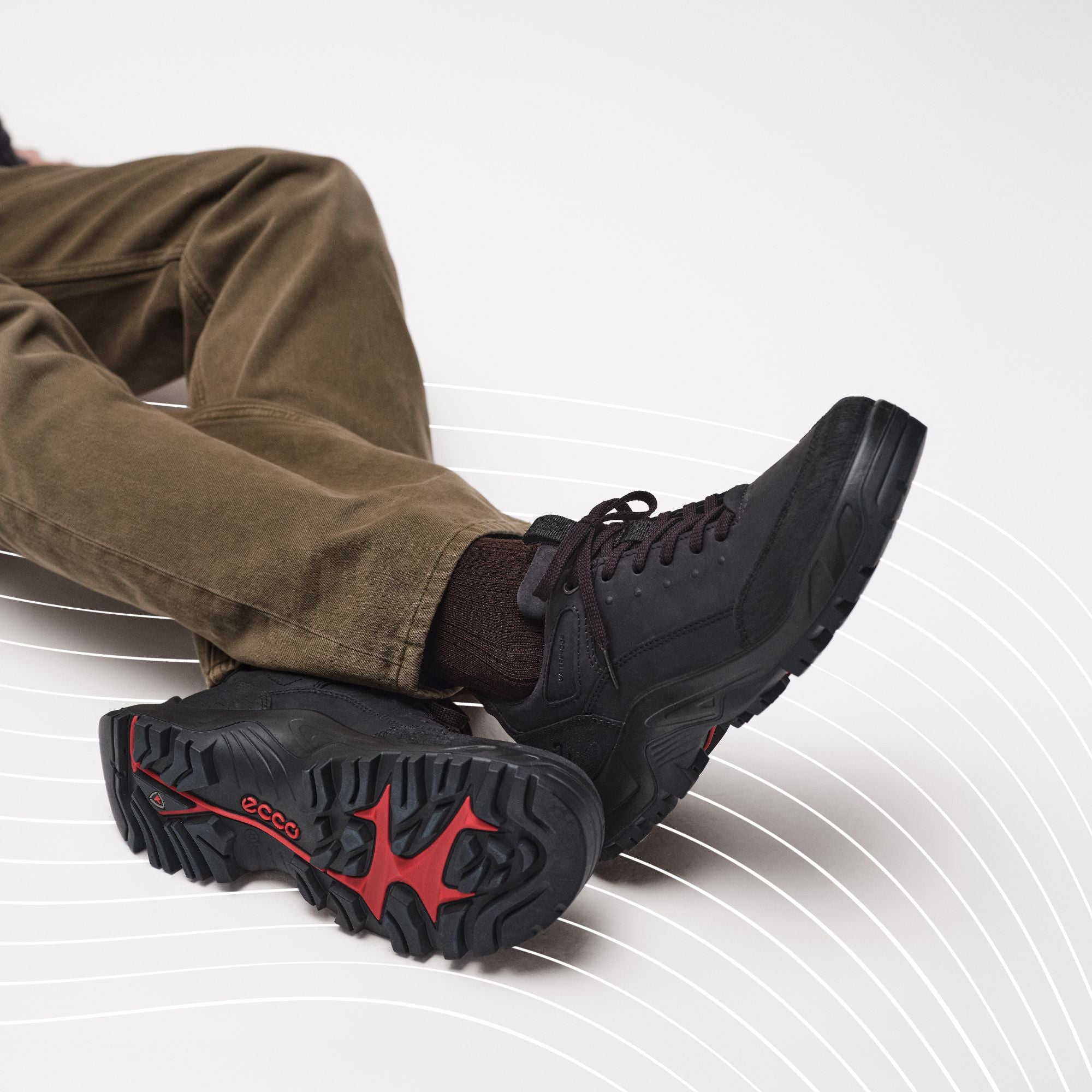 Waxberg s Stan s Shoes