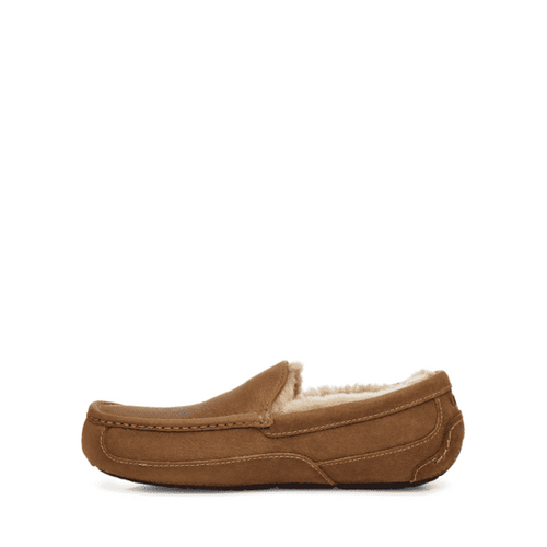 Men's UGG Ascot Slipper - Tan