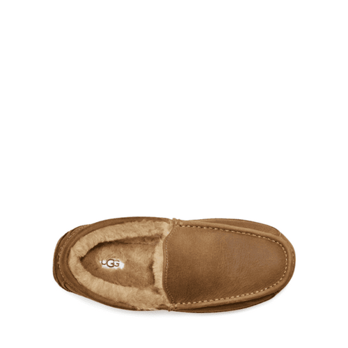 Men's UGG Ascot Slipper - Tan