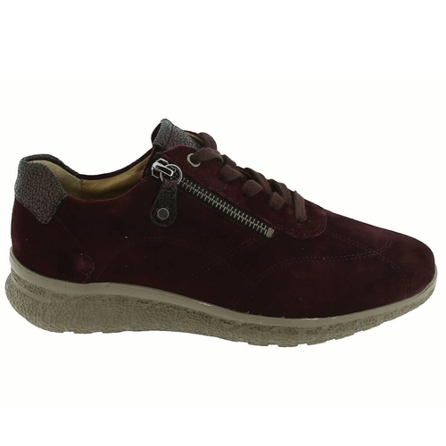 Women's Hartjes Rap Shoe - Aubergine