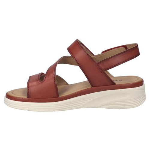 Women's Josef Seibel Sevran 05 - Hibiscus