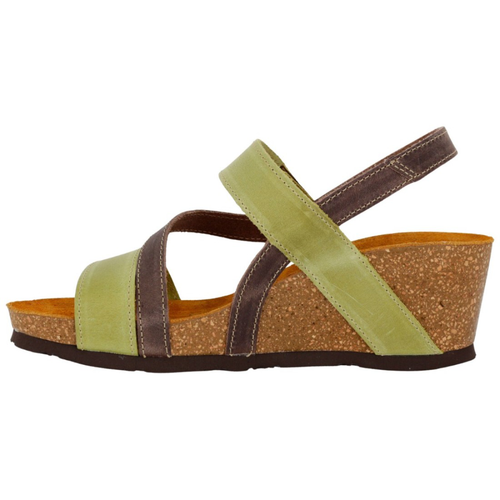 Women's Sabatini 4352 - Pistacchio/Noce