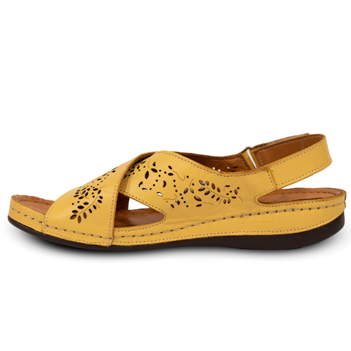 Women's Takahē Nova Sling - Noce
