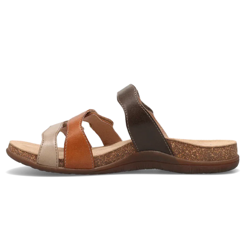 Women's Taos Scribble - Brown Multi